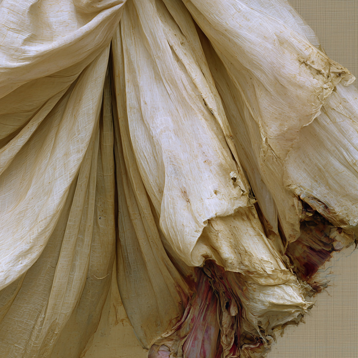 Jeté — detail of the print